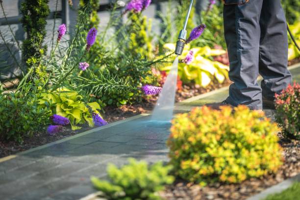Best Soft Washing for Delicate Surfaces in Greeneville, TN
