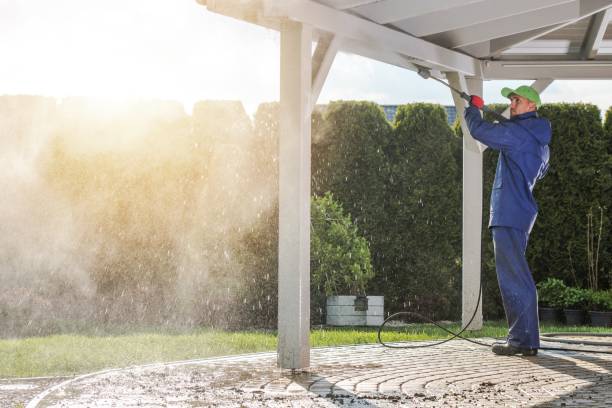 Best Roof Cleaning and Mildew Removal in Greeneville, TN