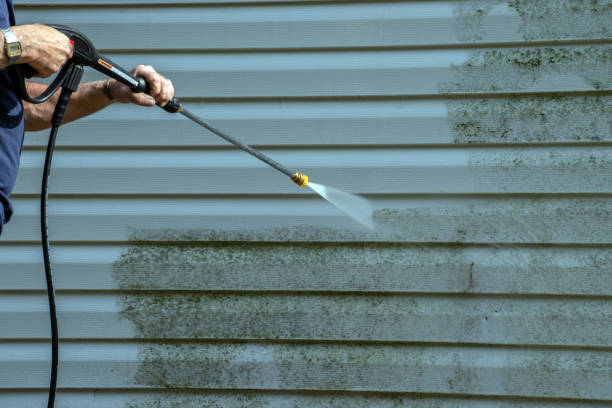 Best Sidewalk and Walkway Pressure Cleaning in Greeneville, TN