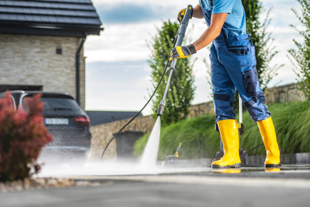 Best Fence Cleaning and Maintenance in Greeneville, TN
